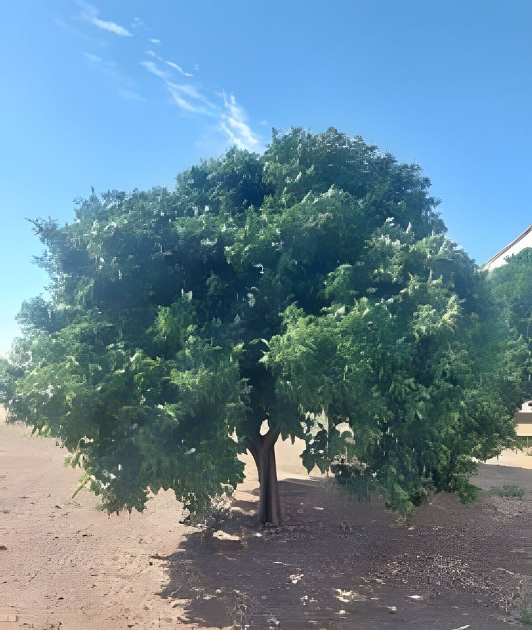 Casa campestre con piscina en Cortijo las cruces.