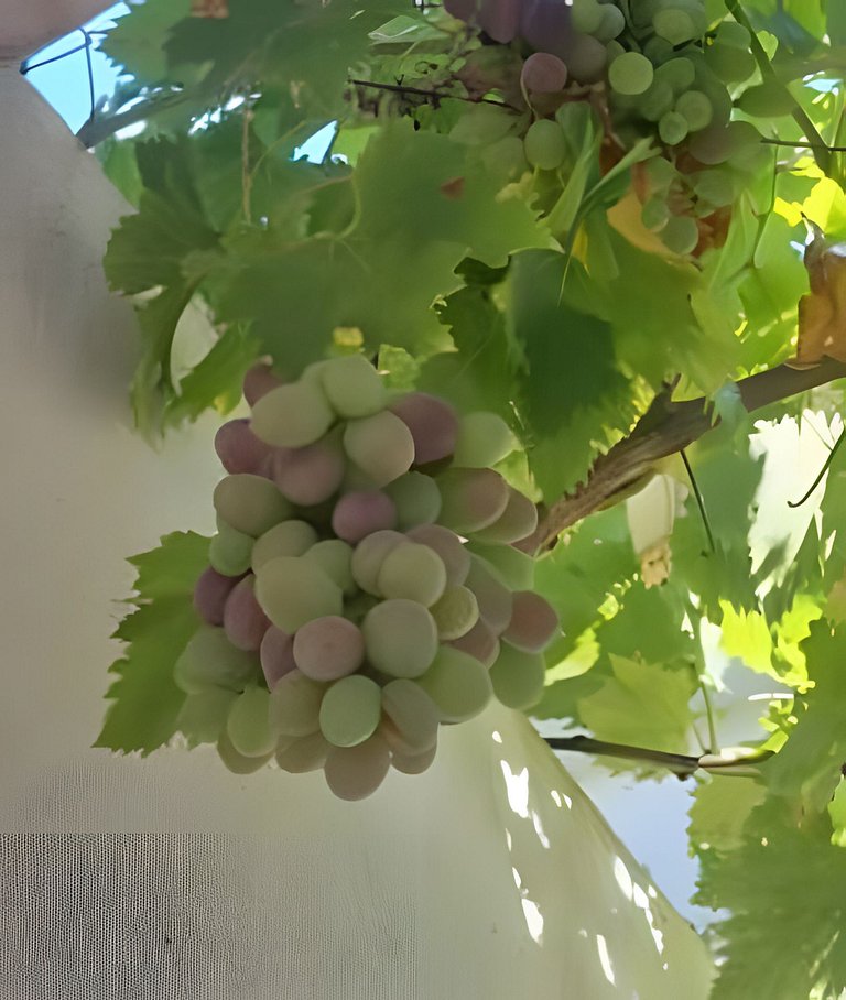 Casa campestre con piscina en Cortijo las cruces.