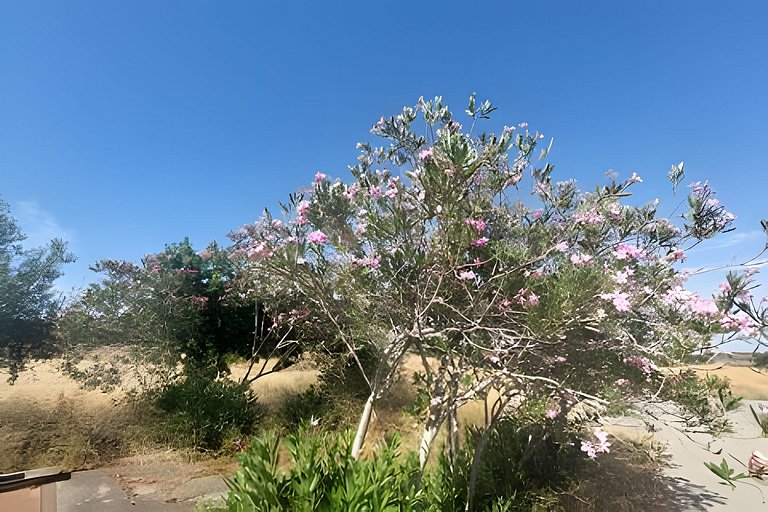 Casa campestre con piscina en Cortijo las cruces.