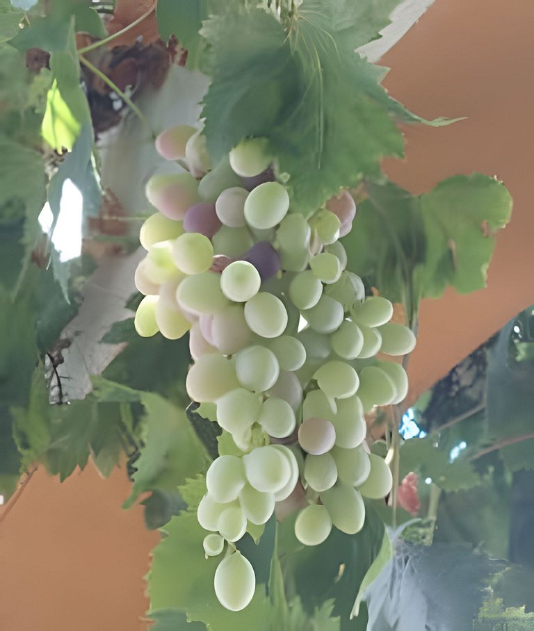 Casa campestre con piscina en Cortijo las cruces.