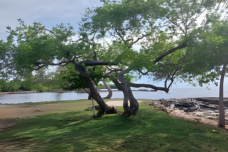 Cabaña ecológica frente al mar en isla fuerte